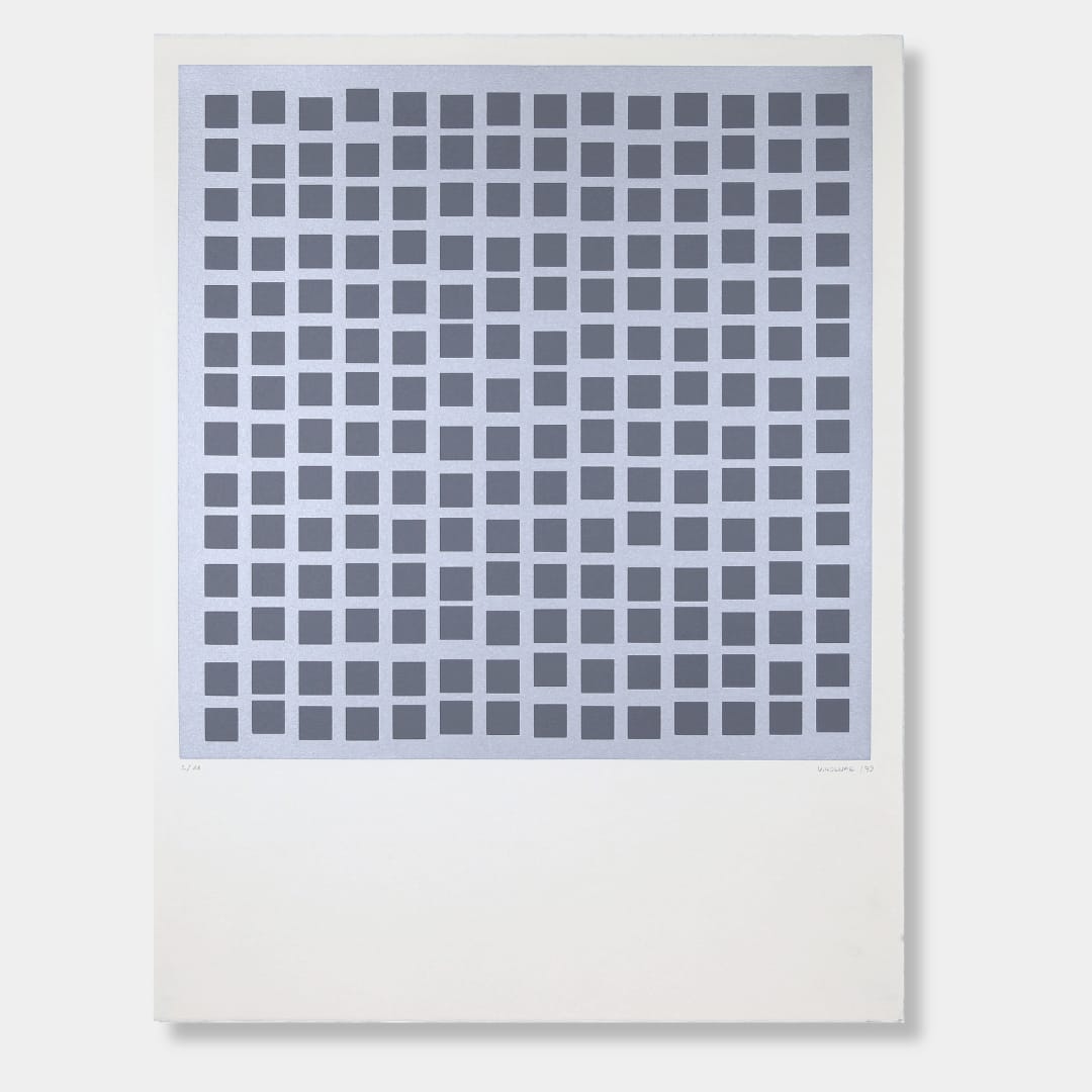Vera MOLNAR, 14 x 14 carrés, 1979