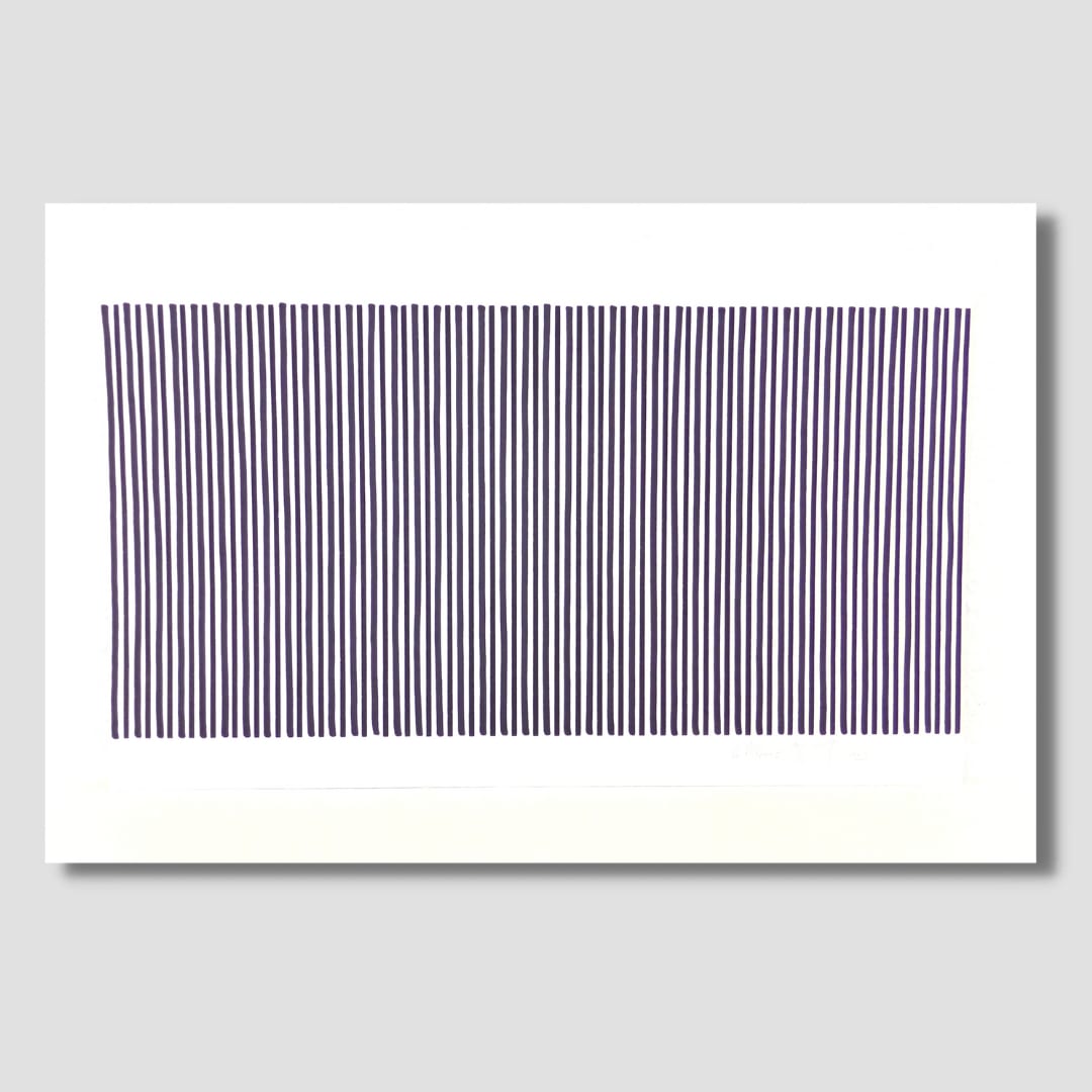 Olivier PETITEAU, La Mikron 1, 2009