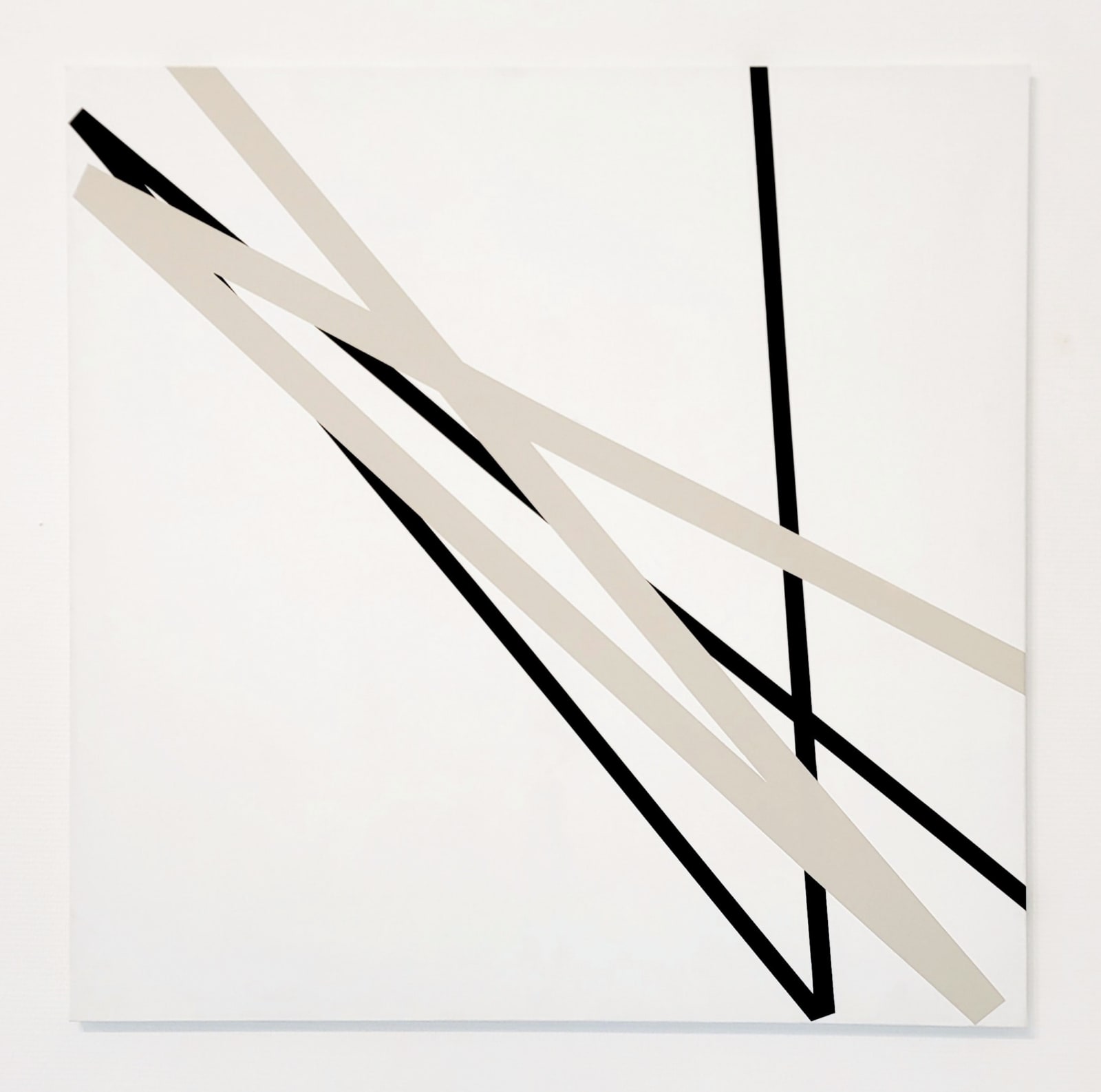 Vera MOLNAR, L'ombre prend le dessus, 2005