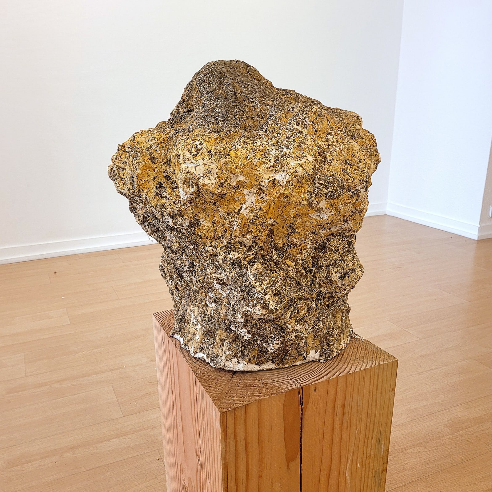Nikolas FOURÉ, Terrestre, 2022