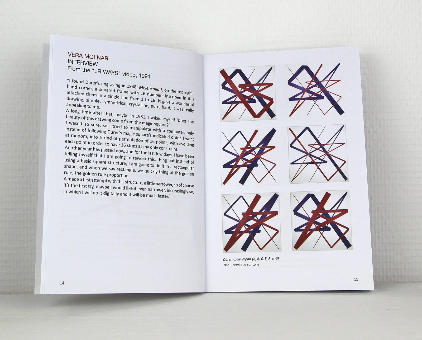 Vera MOLNAR, Promenades aléatoires, 2010