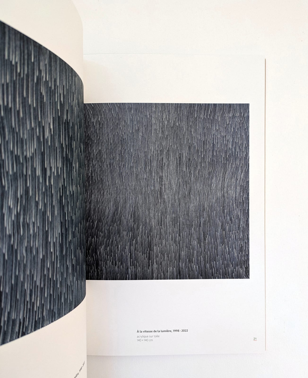 Didier MENCOBONI, La couleur presque seule, 2023