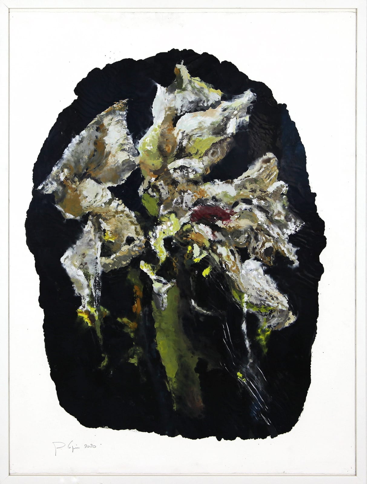 Philippe COGNÉE, Amaryllis (B20), 2020