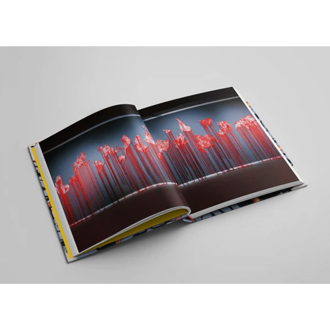 Brankica Žilović, Drifting worlds, 2024