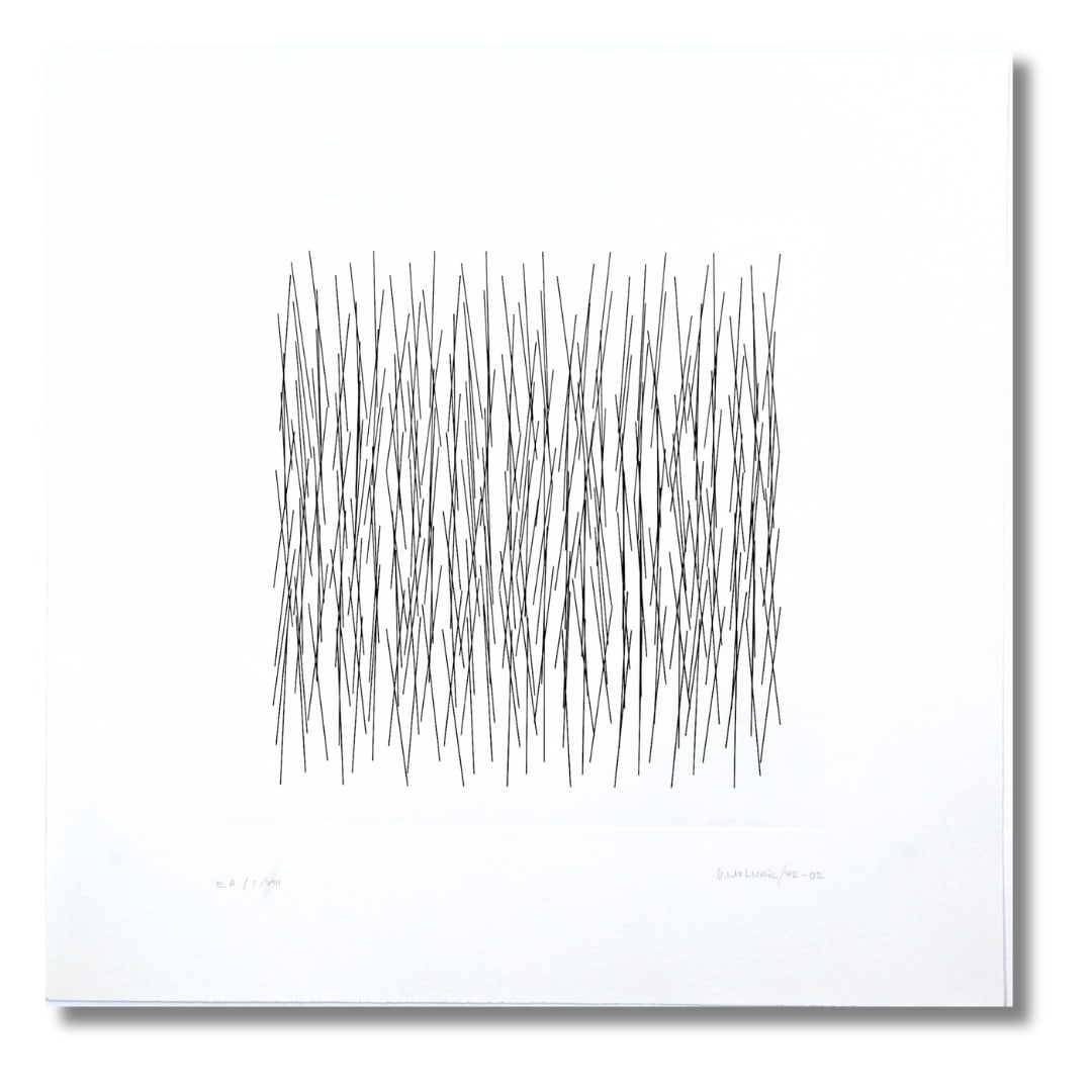 Vera MOLNAR, De lignes en lignes, 2002
