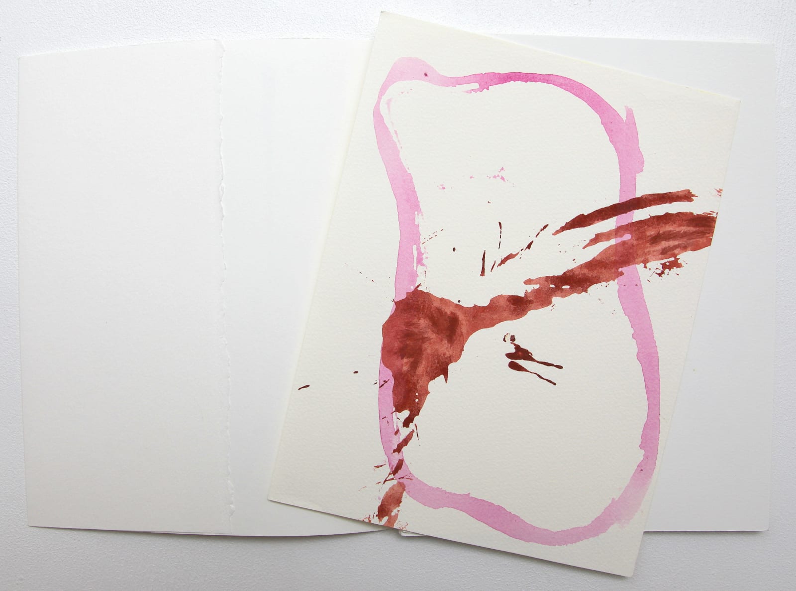 Claude VIALLAT, L'originaire éclate, 2005