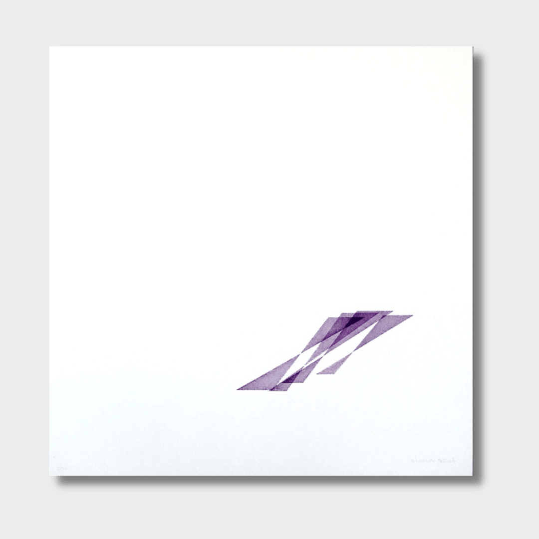 Vera MOLNAR, 4 triangles et leur ombre, 2008