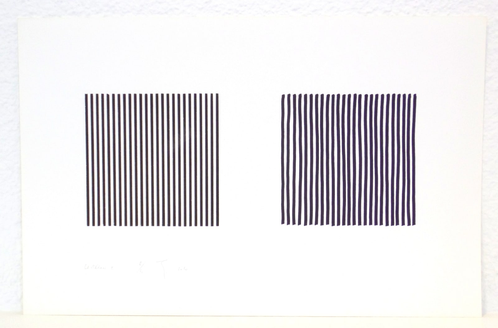 Olivier PETITEAU, La Mikron 2, 2009