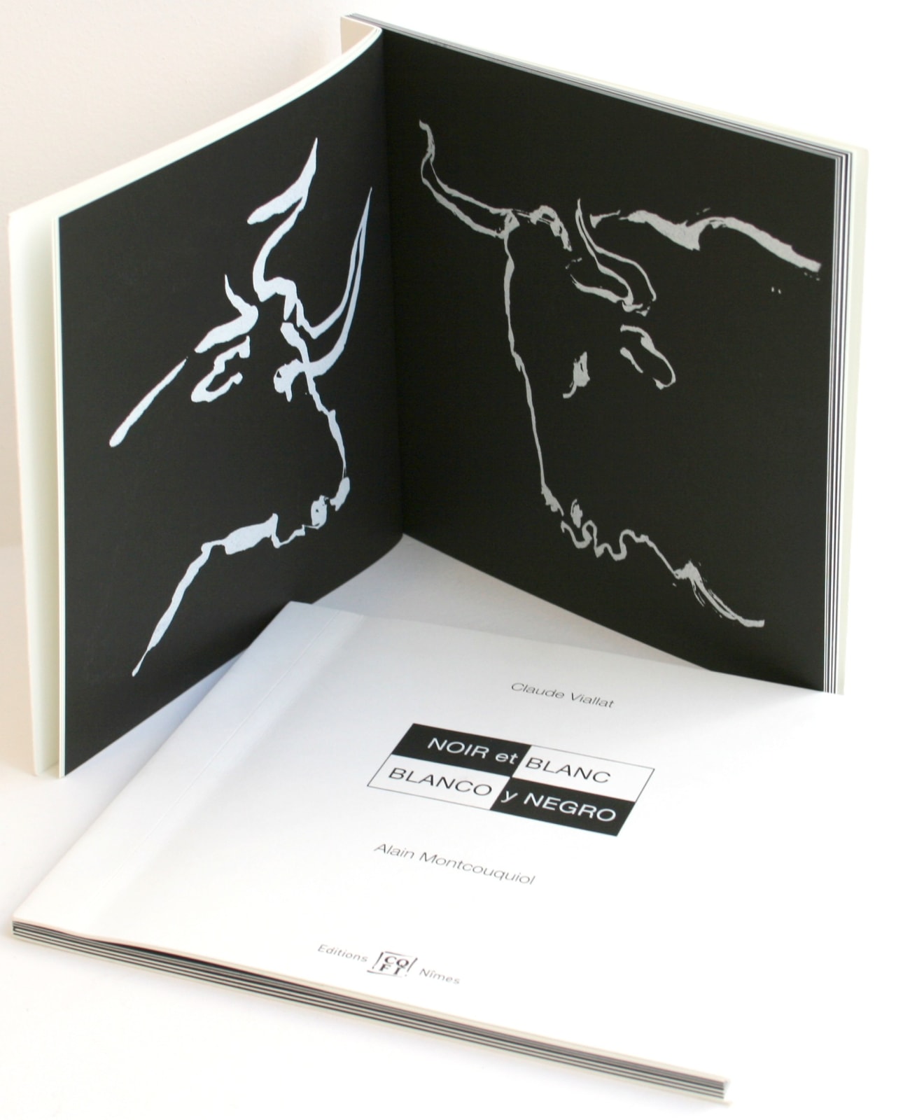 Claude VIALLAT, Noir & Blanc/Blanco y Negro, 2006