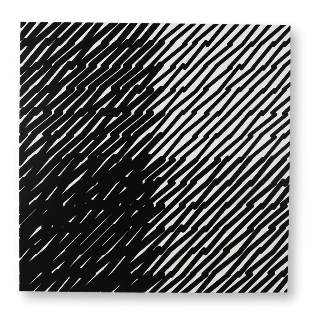 Vera MOLNAR, Segments inclinés, 2019