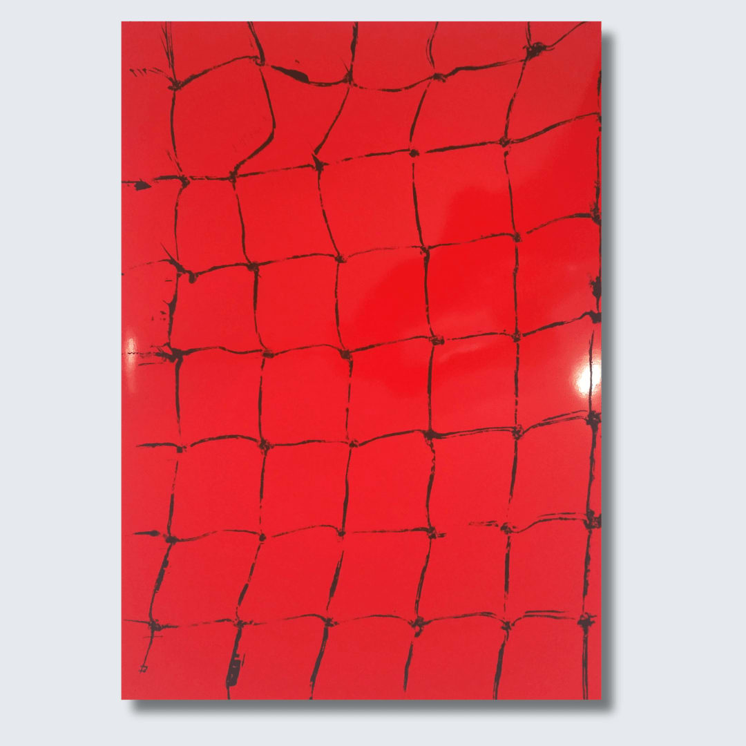 Claude VIALLAT, Filet , 2012