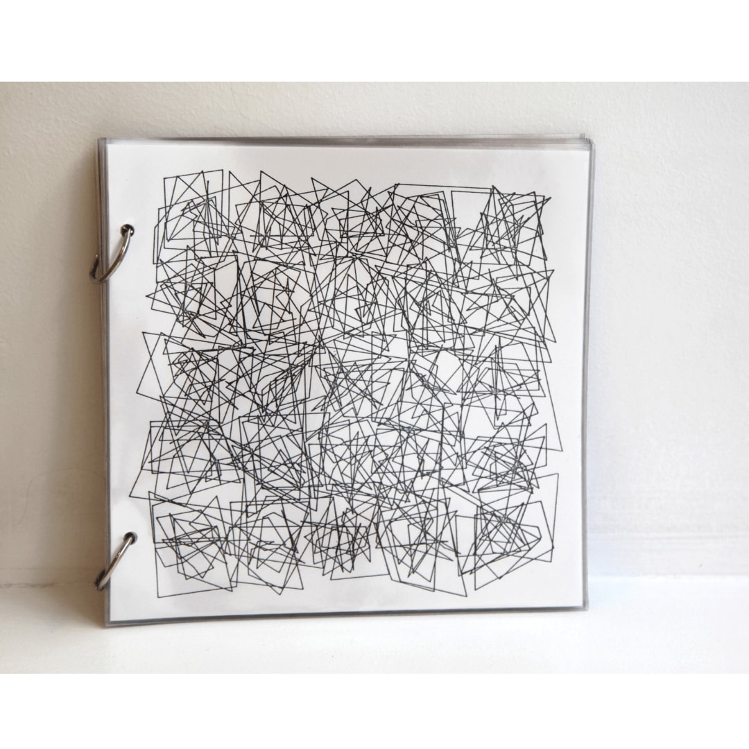 Vera MOLNAR, Transformations, étanche, 2010