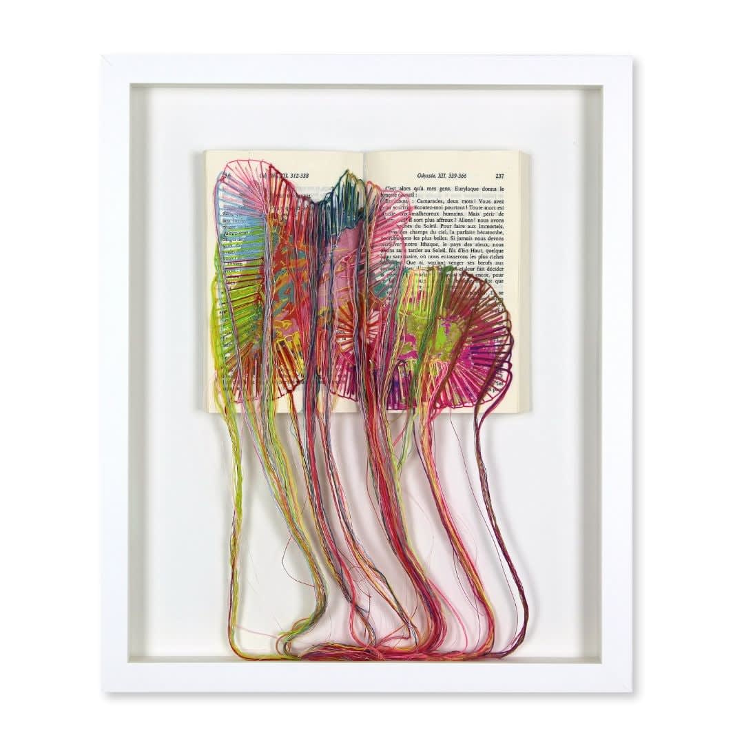 Brankica Žilović, Retour à Ithaque, 2024