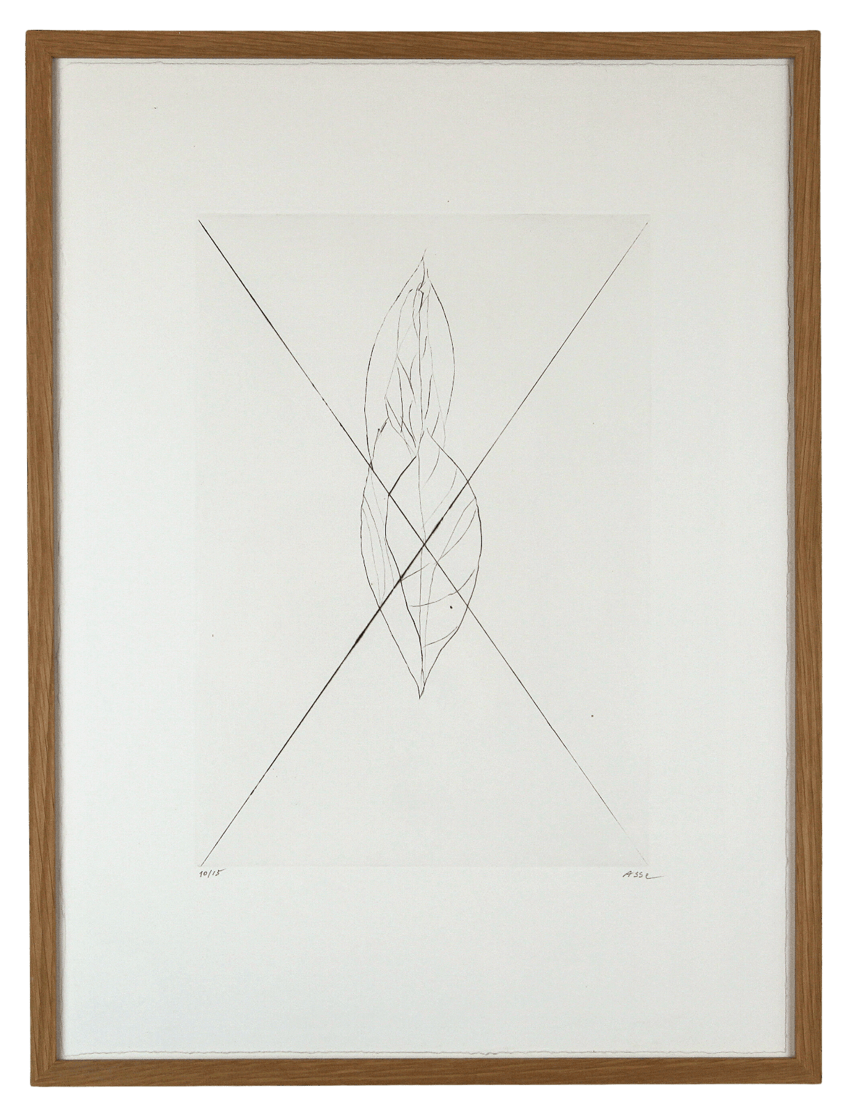 Geneviève ASSE, Sans titre (feuille) II, 2013