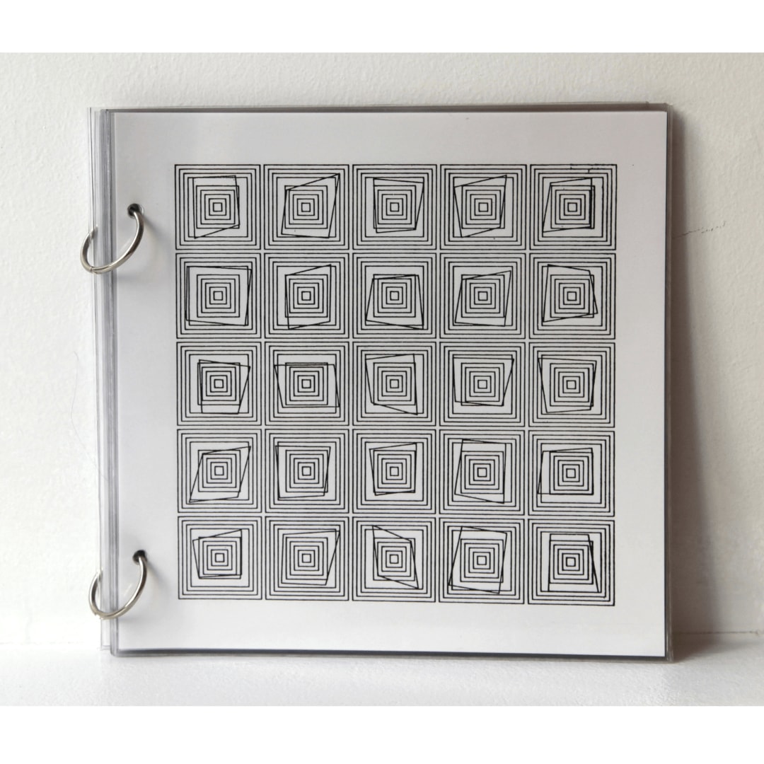 Vera MOLNAR, Transformations, étanche, 2010