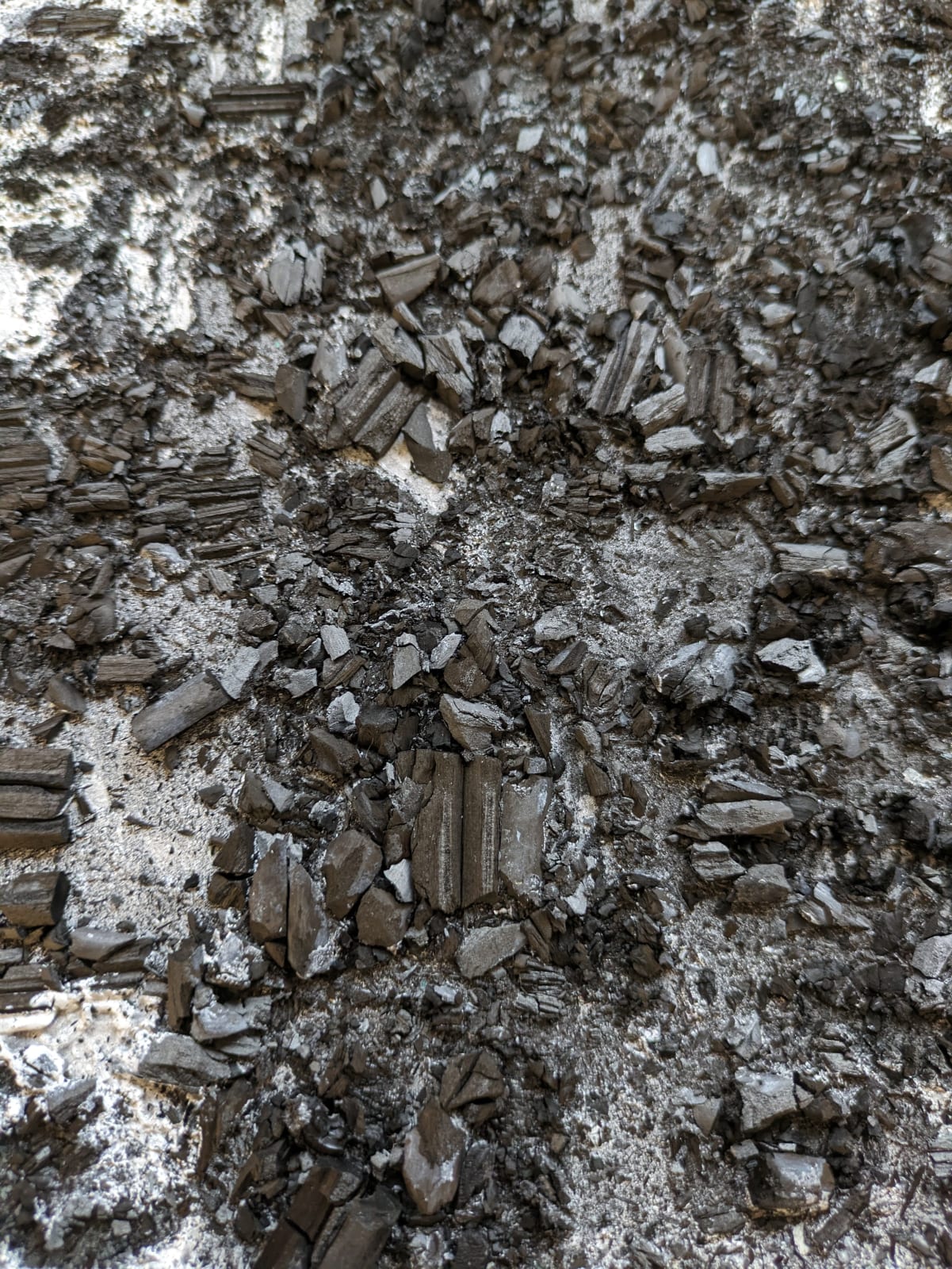 Philippe COGNÉE, Paysage urbain , 2024