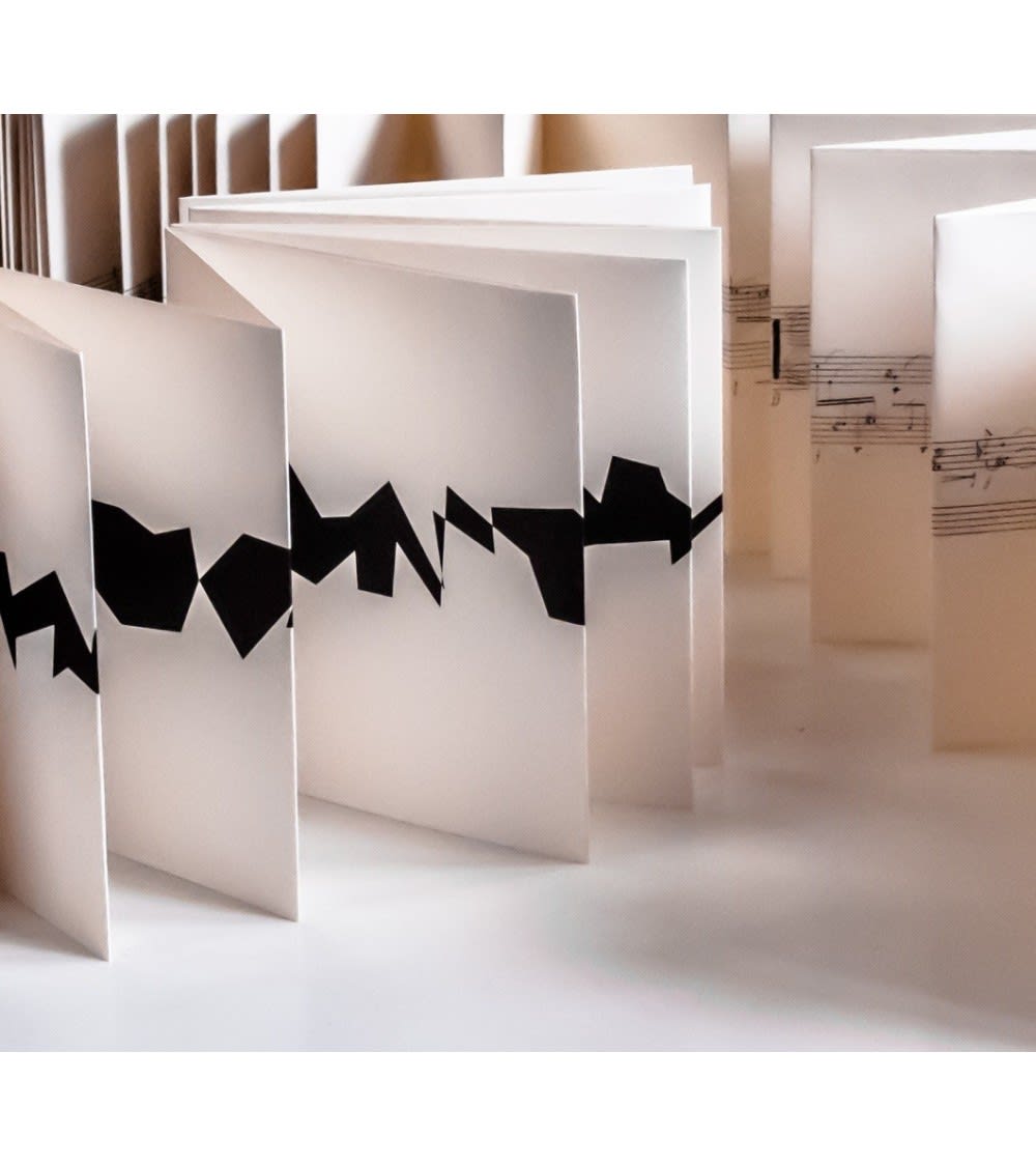 Vera MOLNAR, Ni queue ni tête, 2015