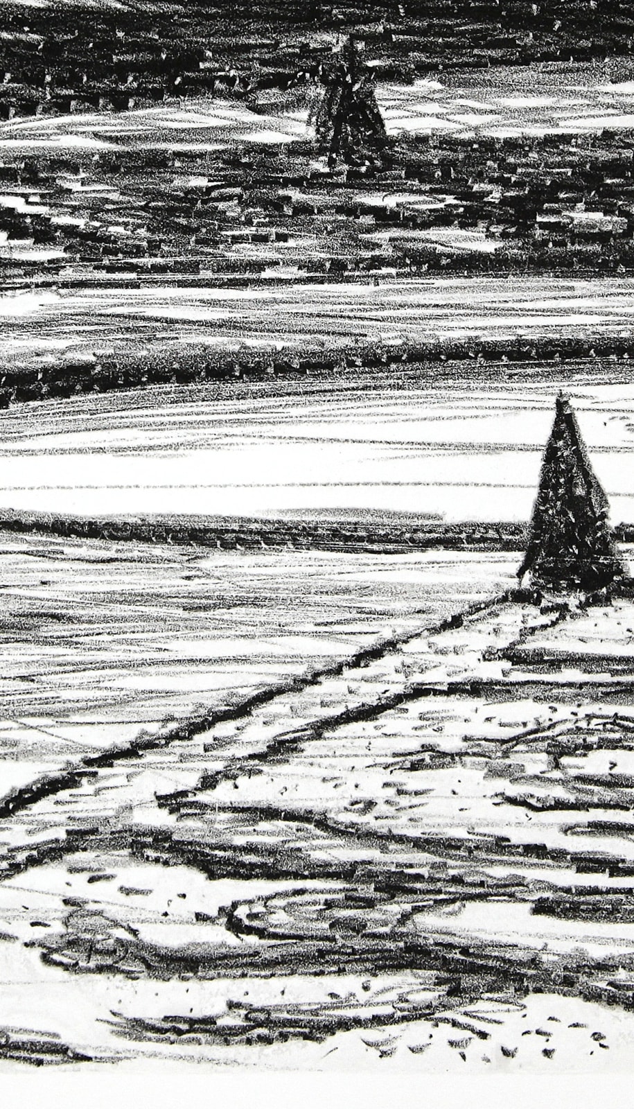 Philippe COGNÉE, Versailles (Jardin), 2011