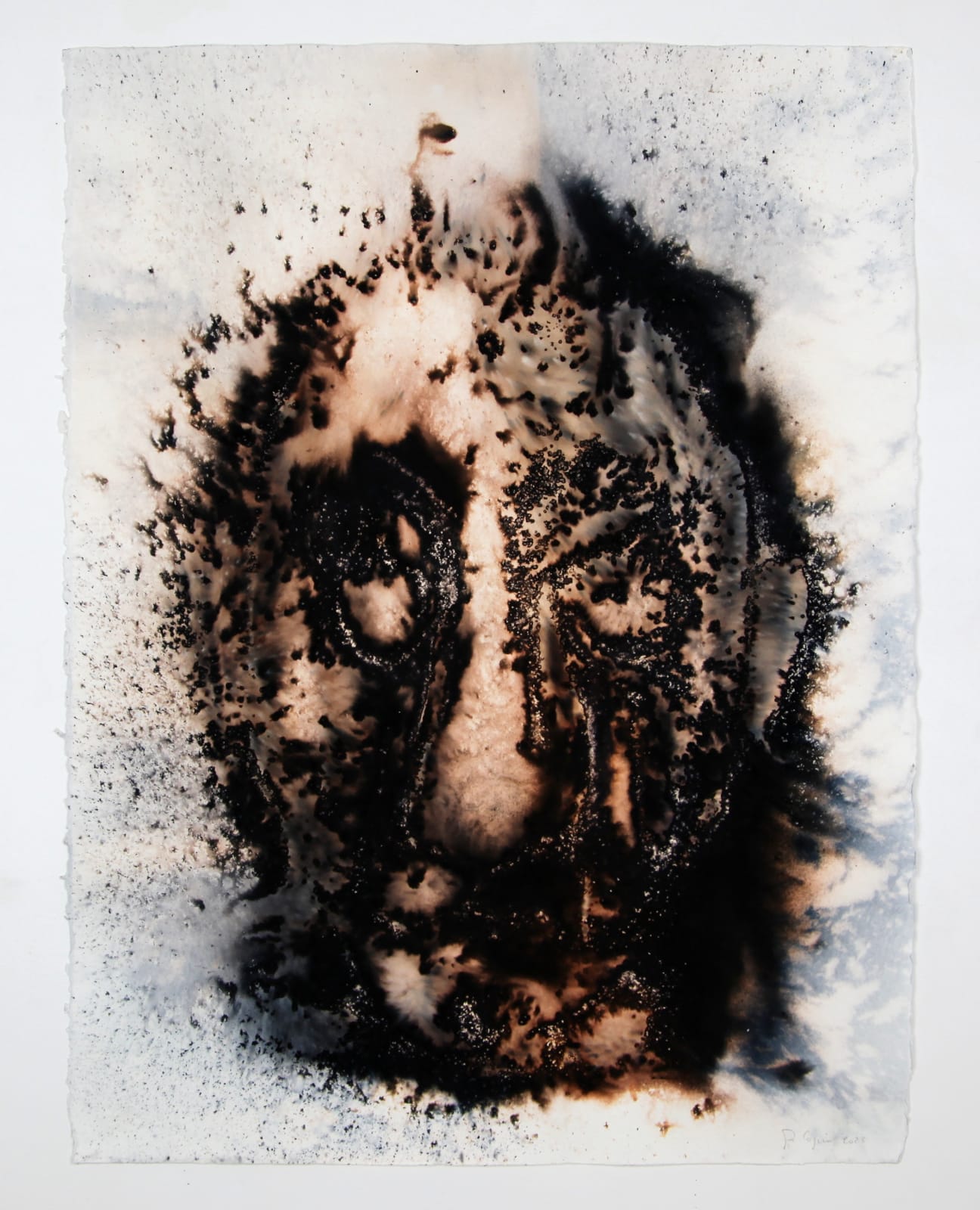 Philippe COGNÉE, Portrait, 2023