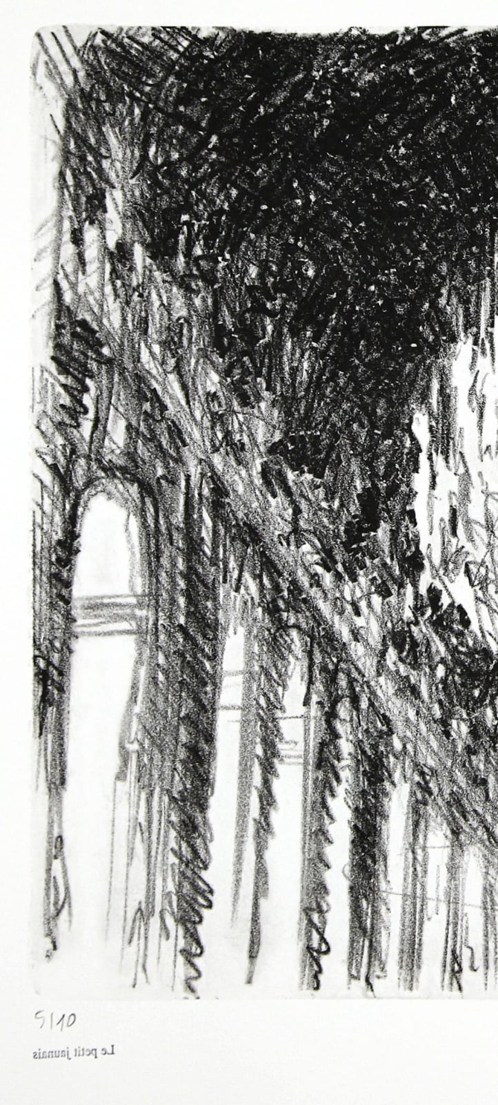 Philippe COGNÉE, Versailles (Galerie des glaces), 2011