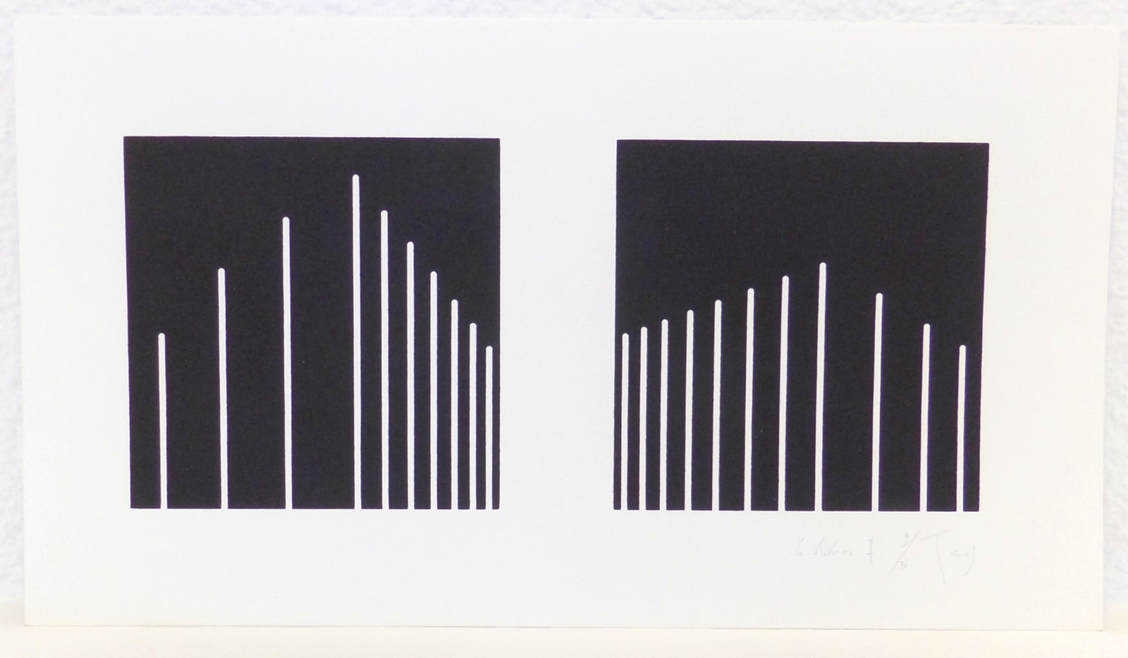 Olivier PETITEAU, La Mikron 7, 2009