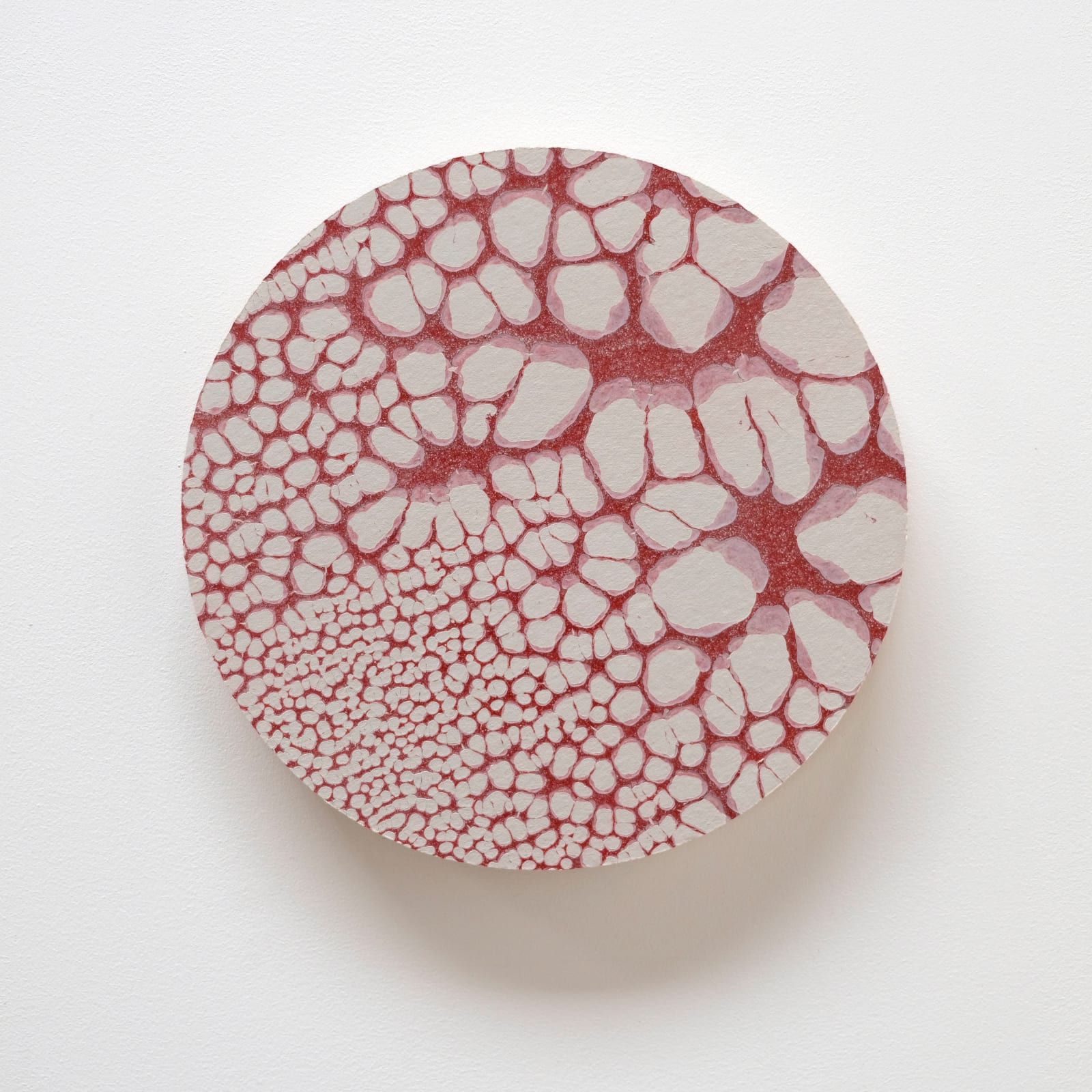 Pierre GALOPIN, A part of, 2019