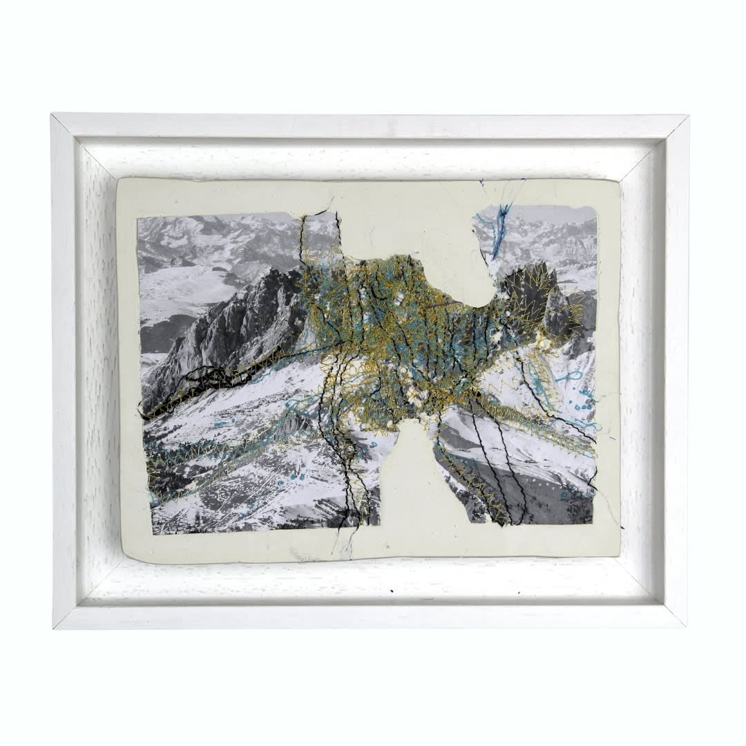 Brankica Žilović, De ce monde, 22, 2024