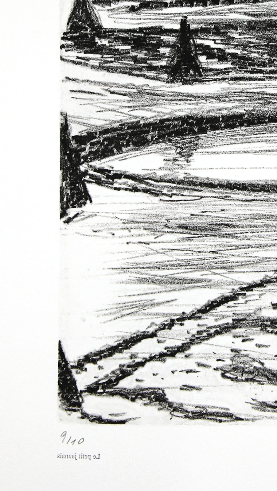 Philippe COGNÉE, Versailles (Jardin), 2011