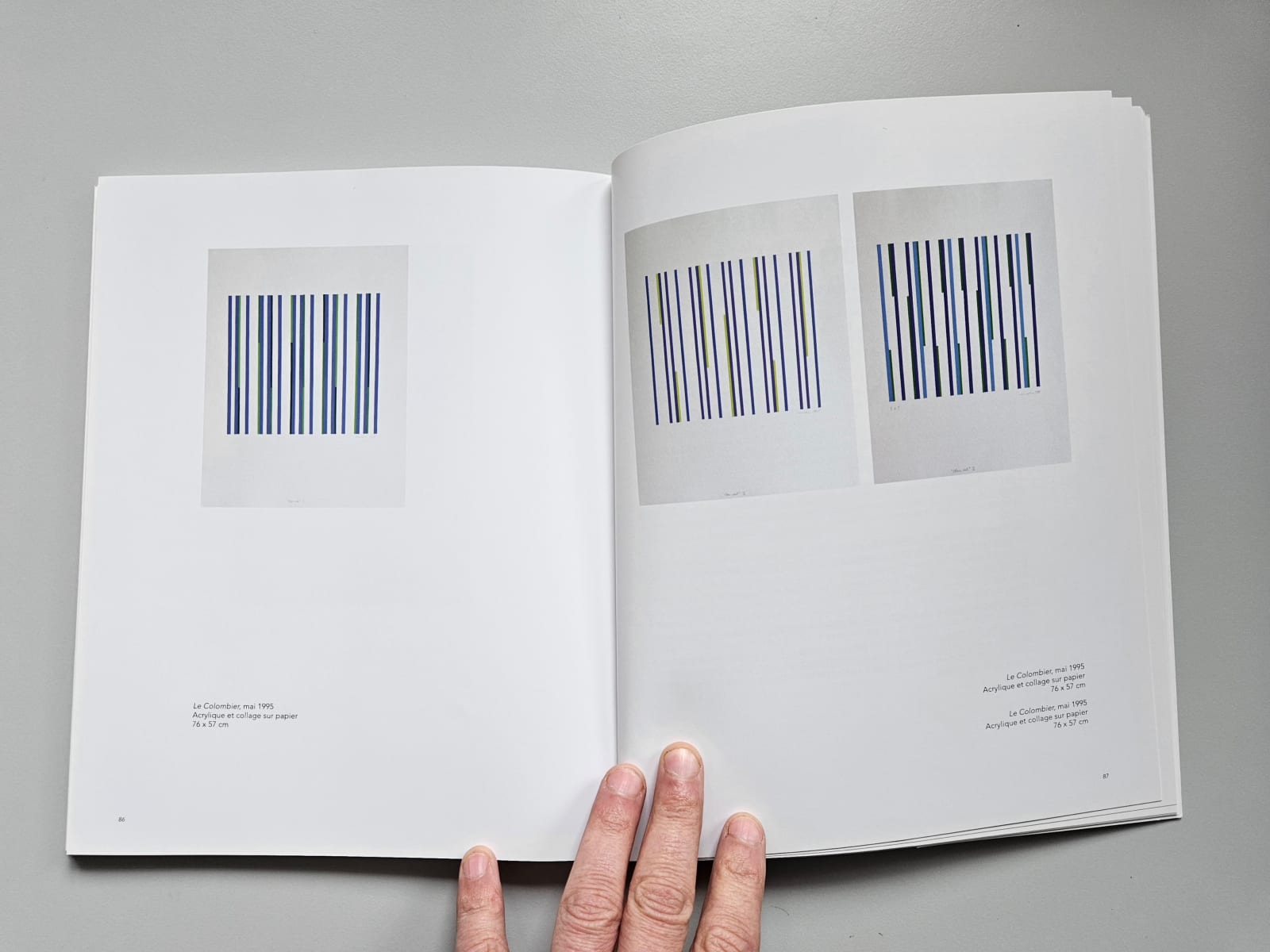 Marie-Thérèse VACOSSIN, Palpitations chromatiques, 2012