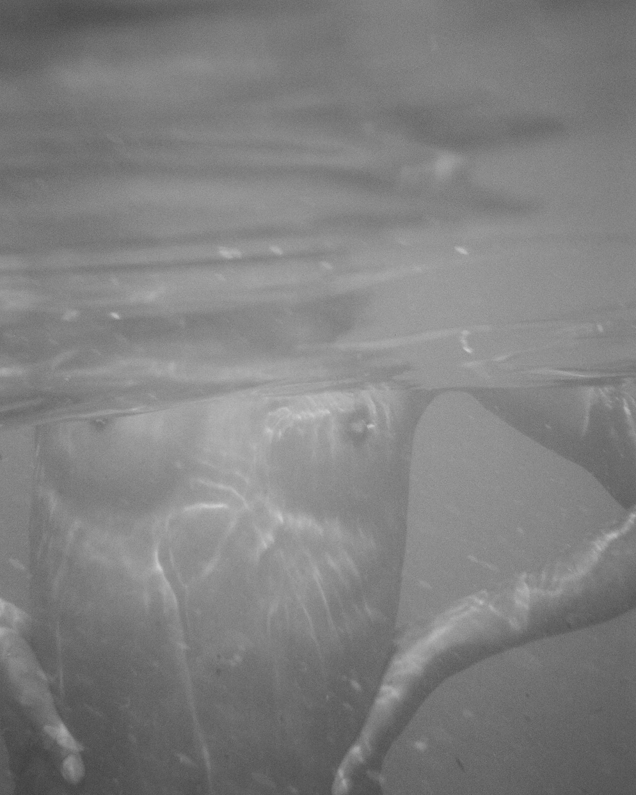Liselore Chevalier, L'eau #2