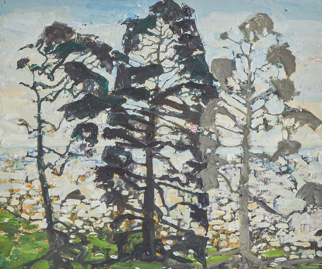 Ffiona Lewis, Estuary Pines