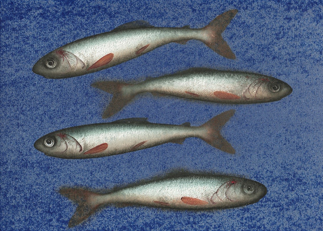 Donald Provan, Crossover (154)