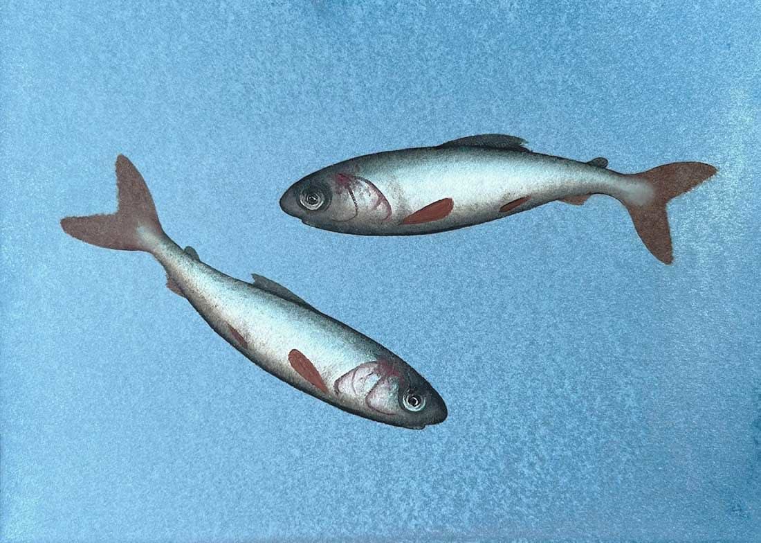Donald Provan, Silver Pair (374)