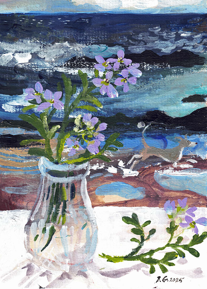 Brita Granström, The Sea Rocket (224)