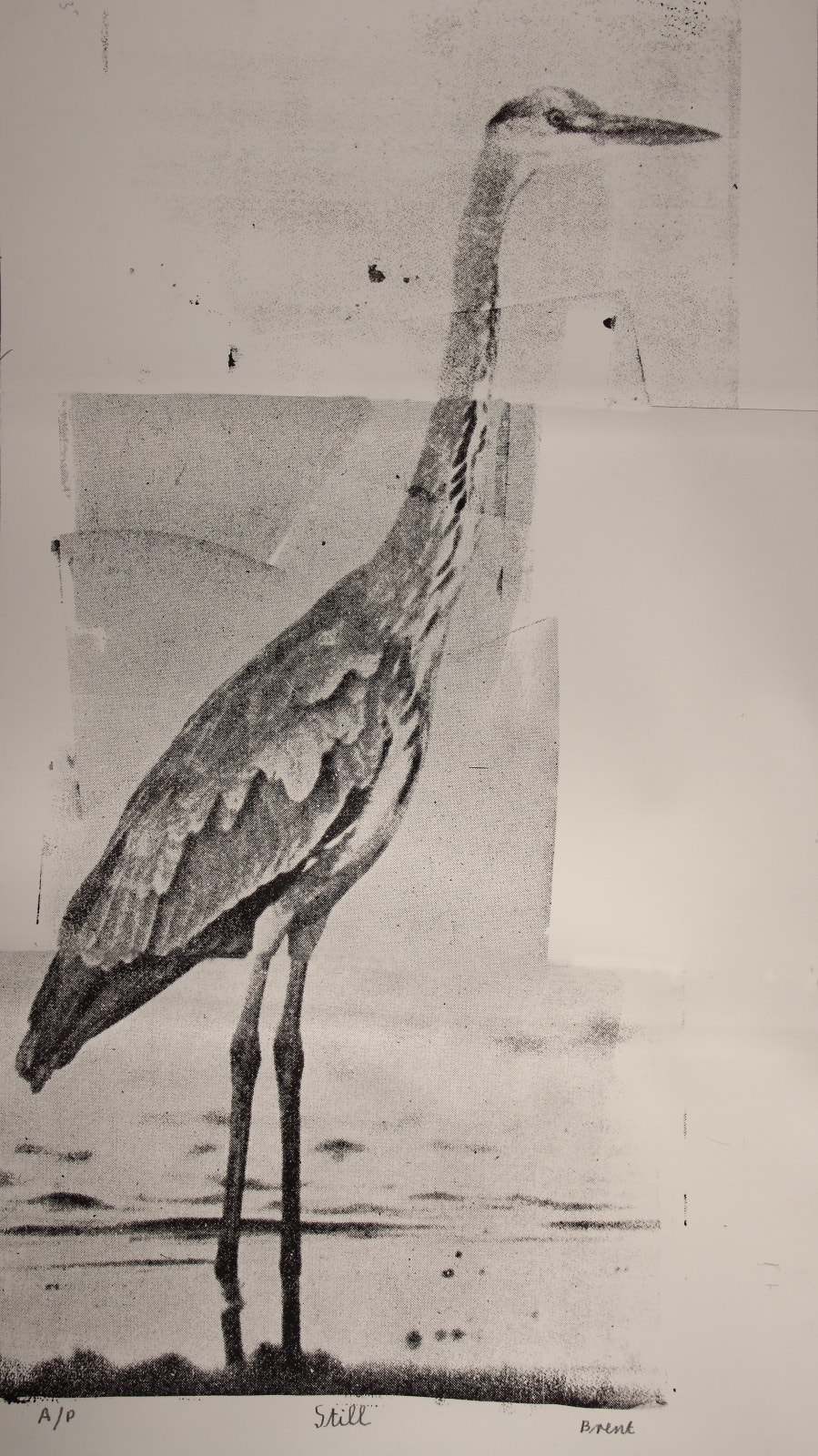 Brent Millar, Still