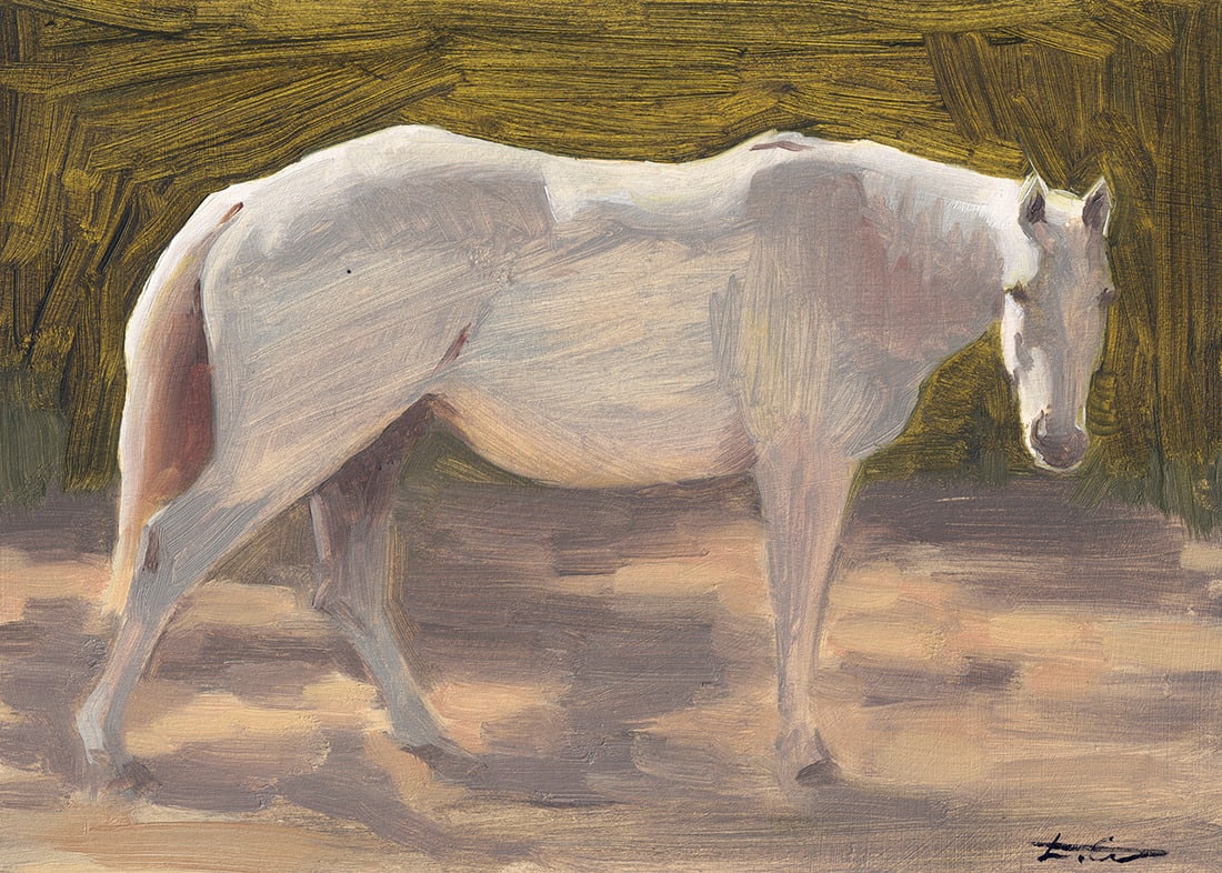 Laura Cullen, White Horse (348)