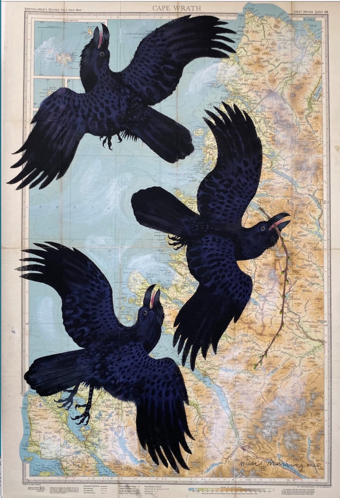 Mick Manning, Joyous Ravens