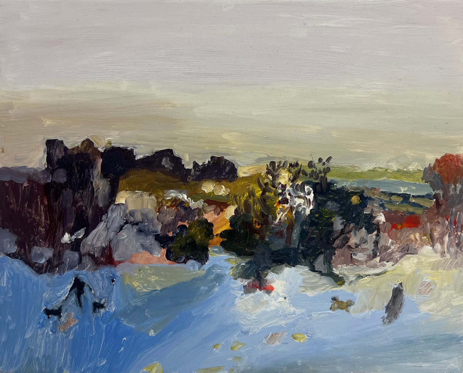 Catharine Davison RSW, Icy Pause, (The Braids)