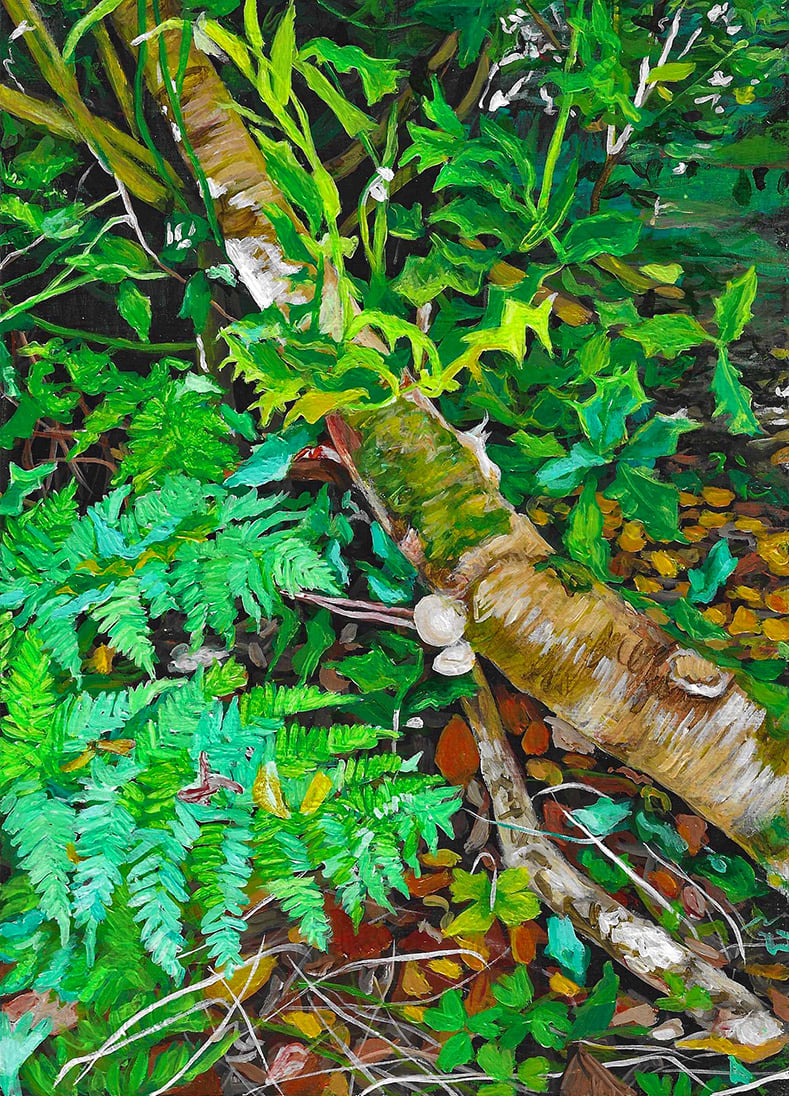 Morag Donkin, Holly in Sap Green (176)