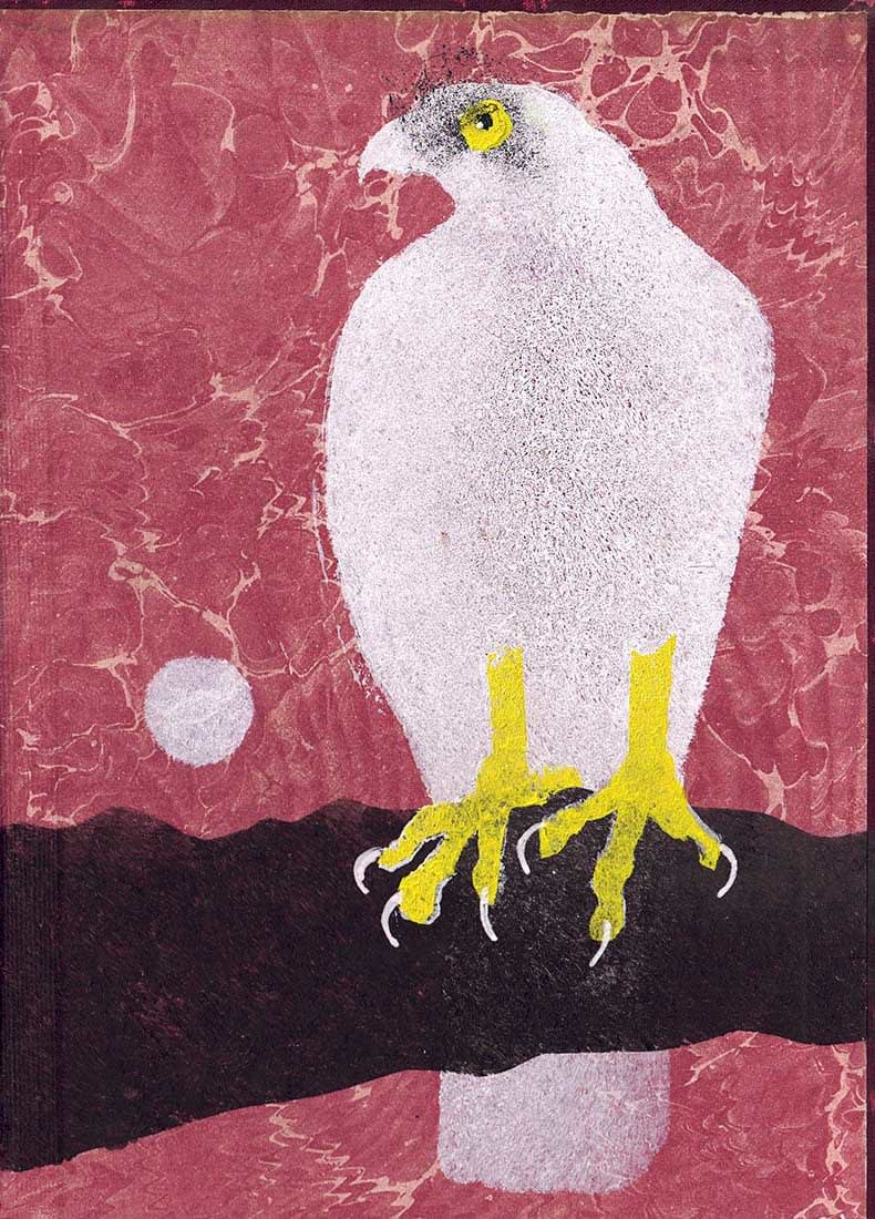 Mick Manning, Ghostly Goshawk (309)