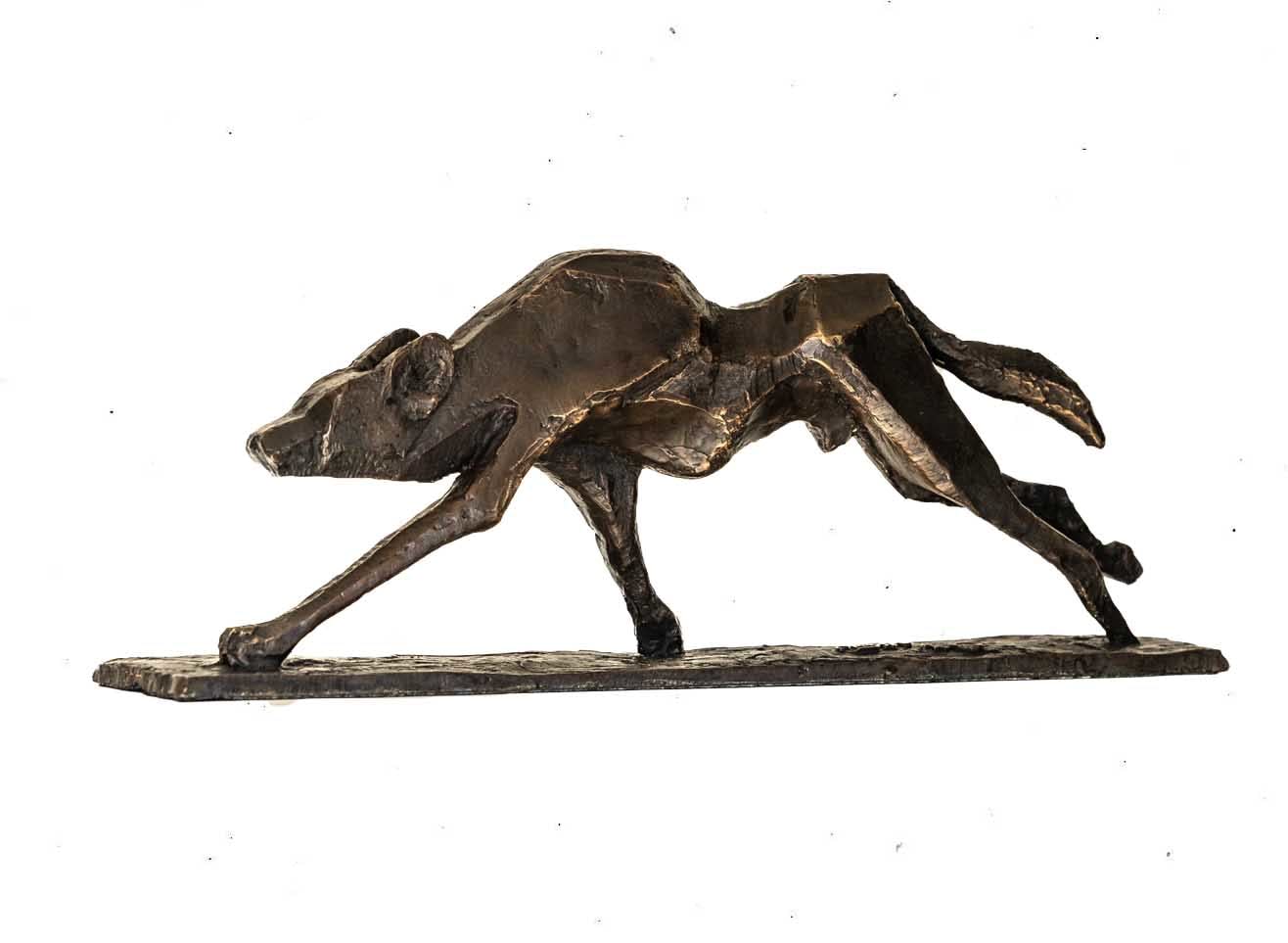Cobus van der Walt, African Hunting Dog