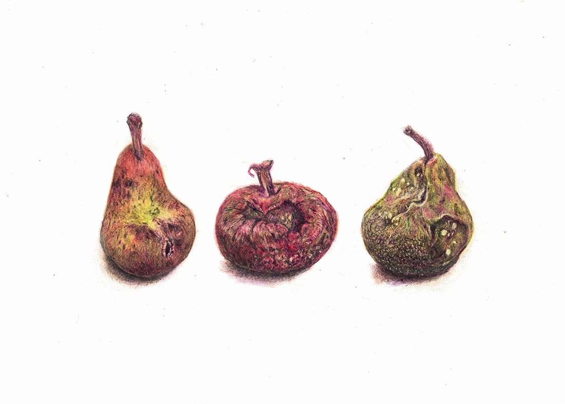 Tom Wilson, Best Before (26)