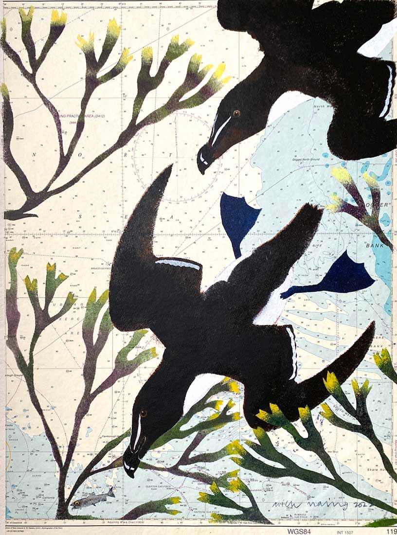 Mick Manning, High Tide (Razorbills)