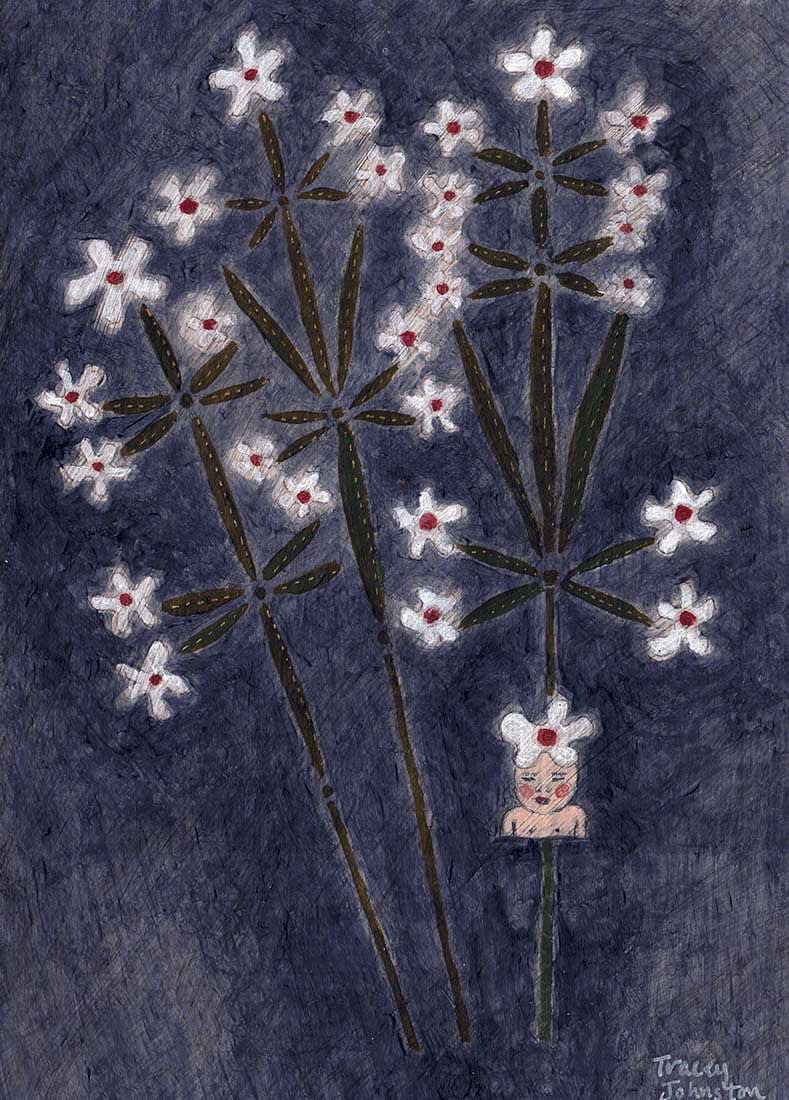 Tracey Johnston, Saponaria (259)