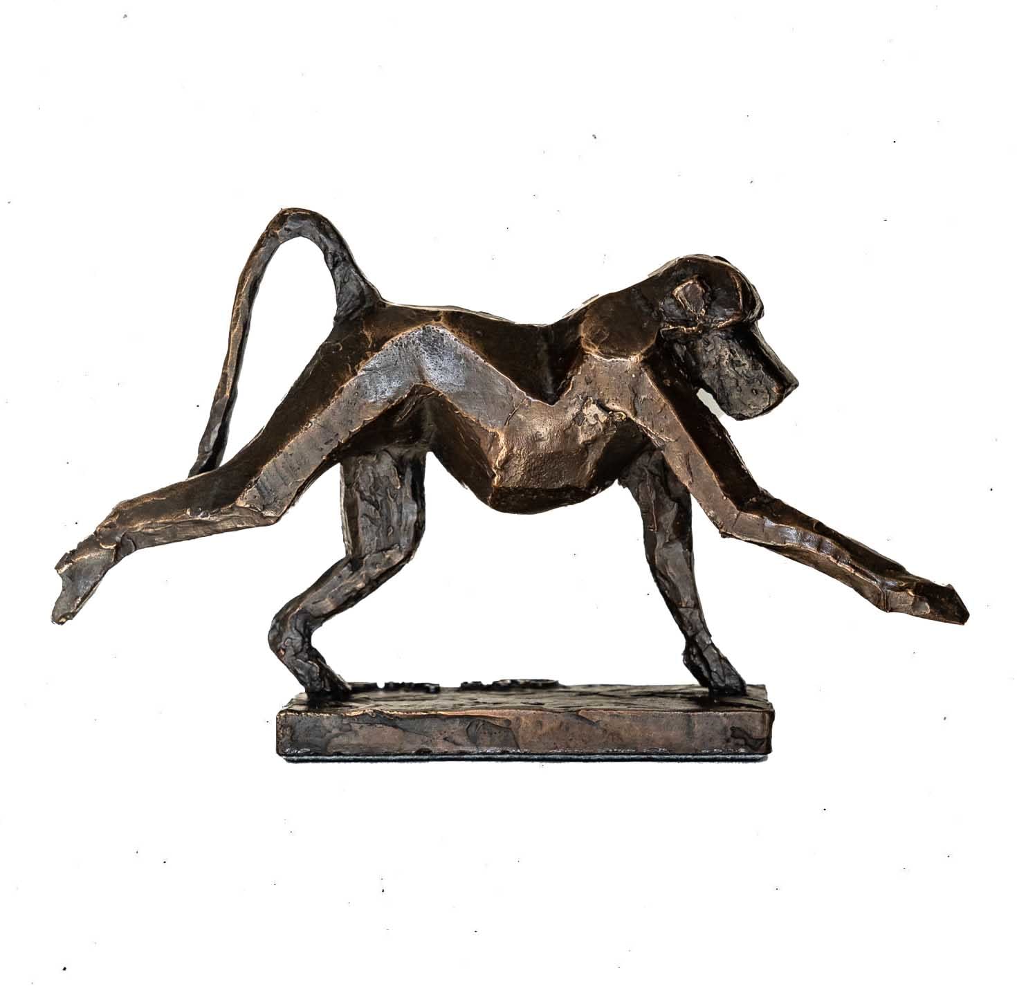 Cobus van der Walt, Baboon