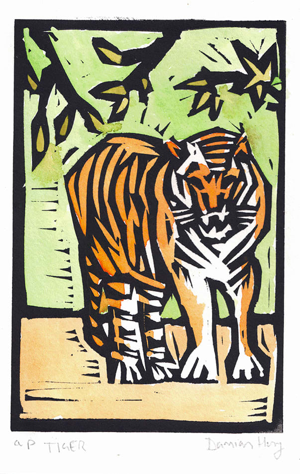 Damian Henry, Tiger (31)
