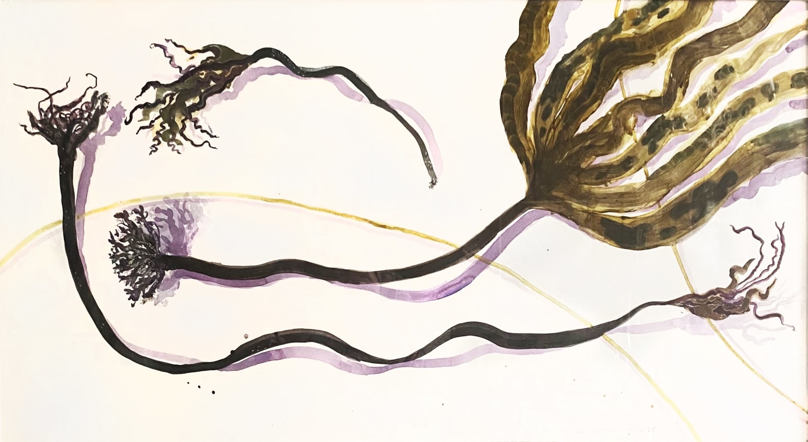 Mick Manning, Under the Cliff; Oarweed Holdfasts