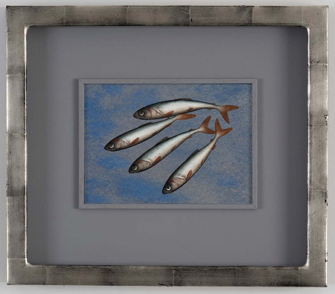 Donald Provan, Blue and Silver
