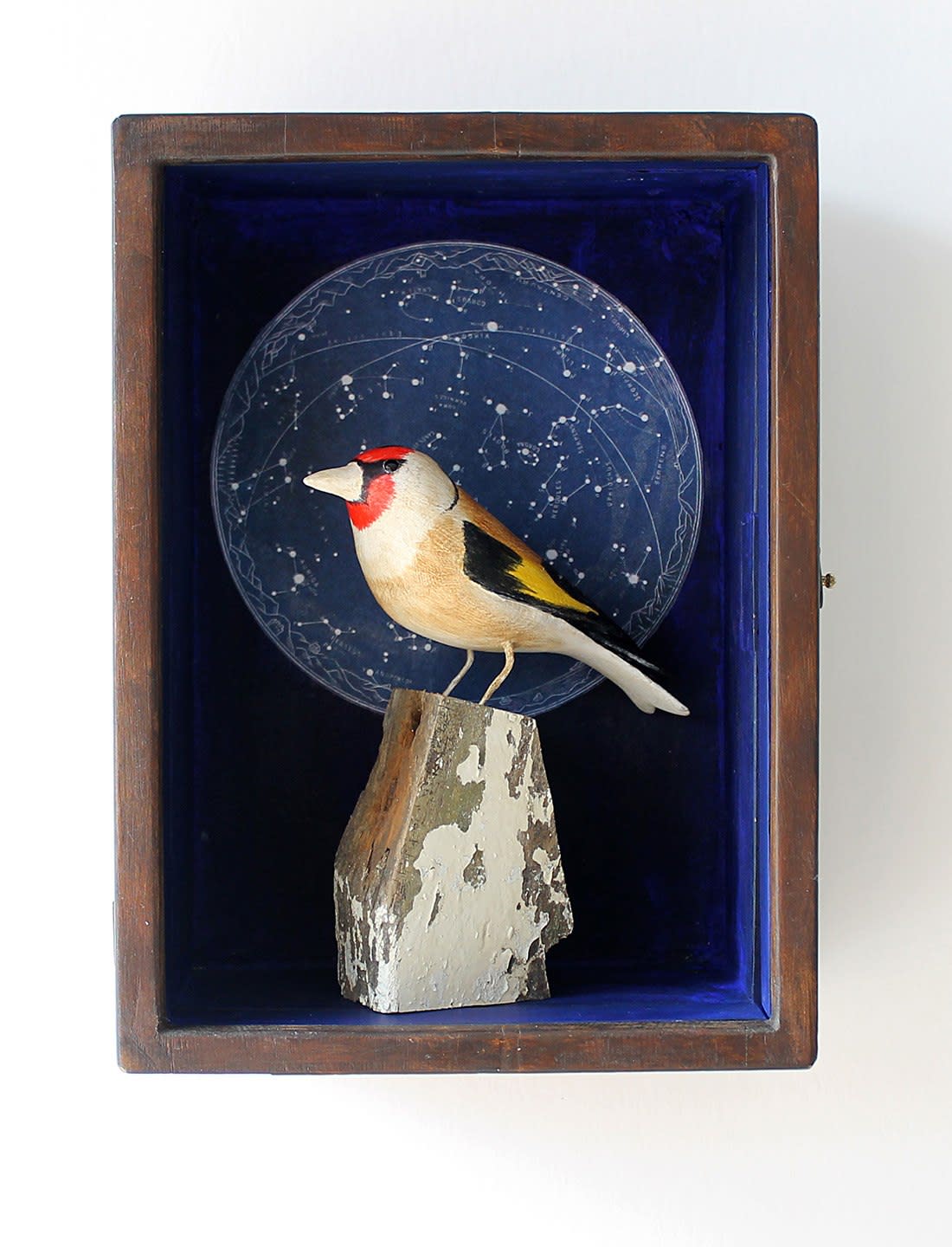 Alex Malcolmson, Goldfinch and stars