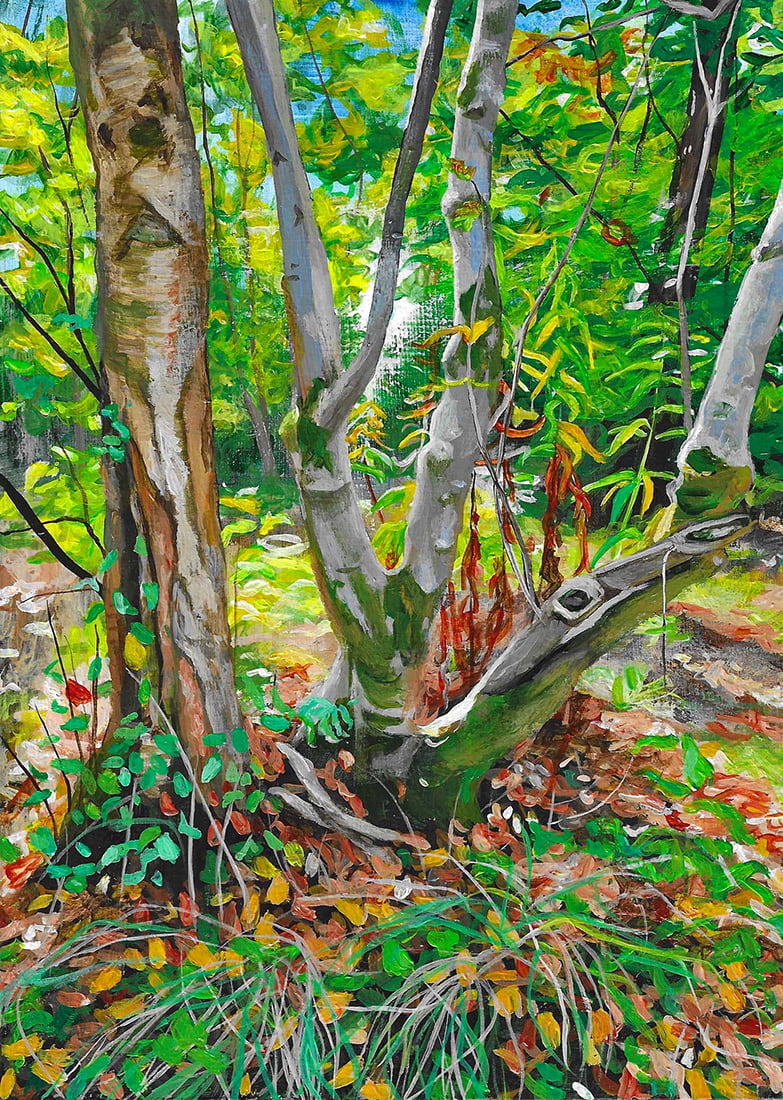 Morag Donkin, Towards the Sun (175)